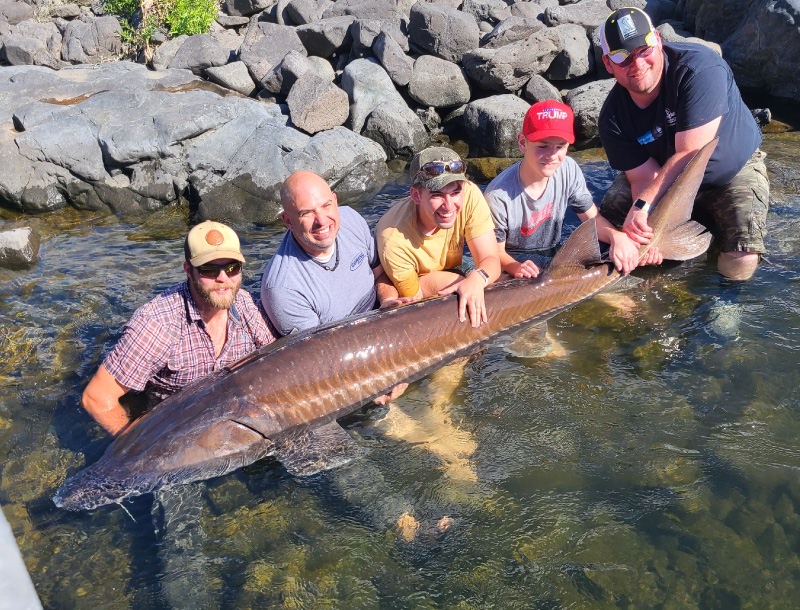 9-foot-hells-canyon-sturgeon